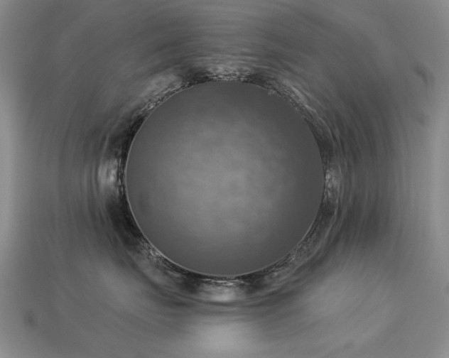 X0000113230671200909101212