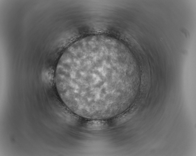 X0000113230672200909101212