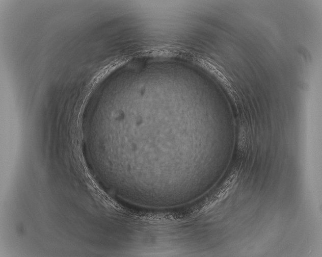 X0000113230673200909101212