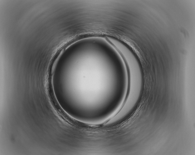 X0000113230677200909101212