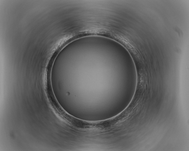 X0000113230678200909101212