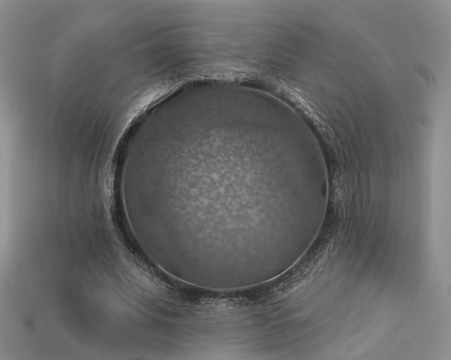 X0000113230679200909101212