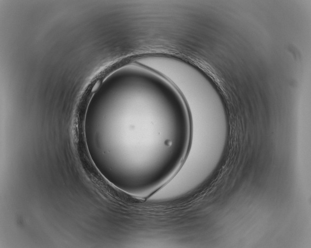 X0000113230680200909101212
