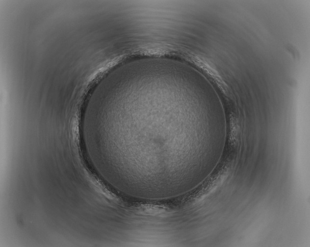 X0000113230681200909101212
