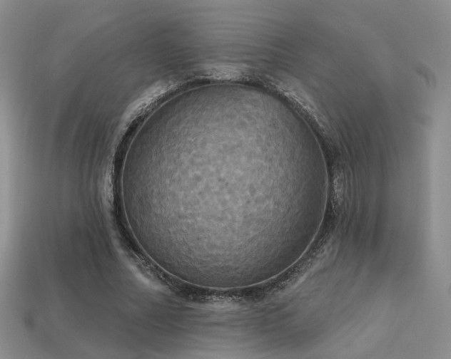 X0000113230682200909101212