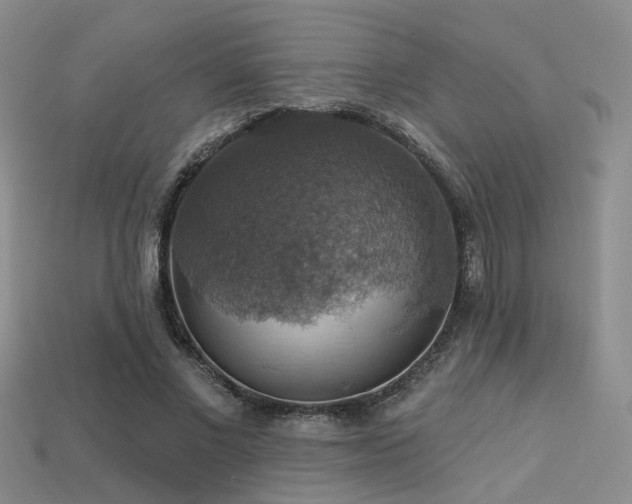 X0000113230685200909101211
