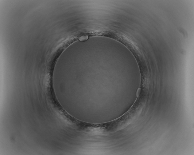 X0000113230689200909101211
