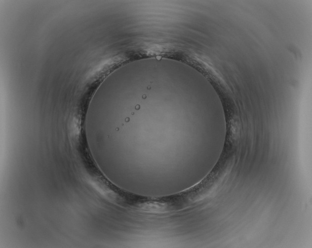 X0000113230691200909101211