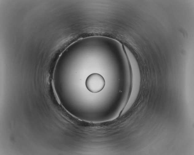 X0000113230692200909101211
