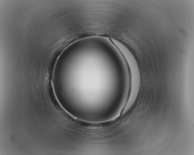 X0000113230693200909101211