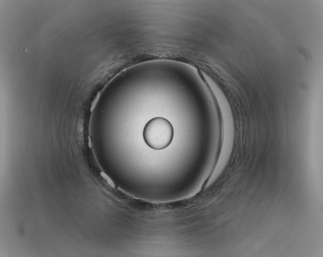 X0000113230696200909101211