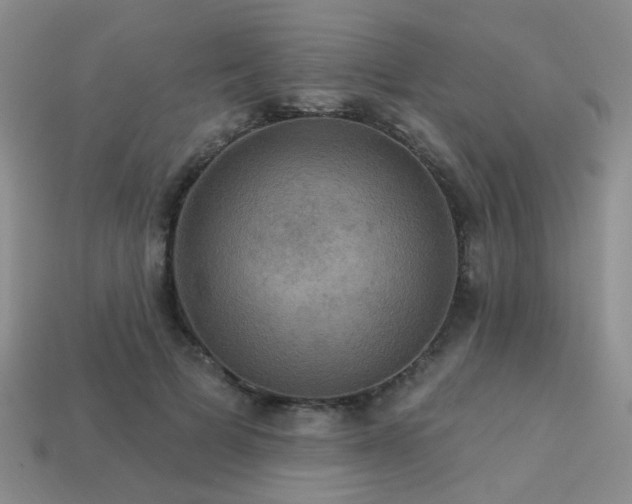 X0000113230697200909101211