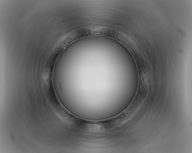 X0000113230698200909101211