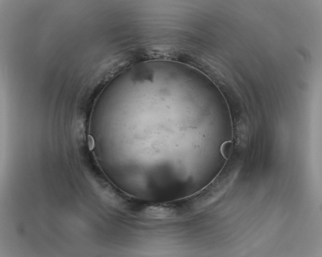 X0000113230699200909101211
