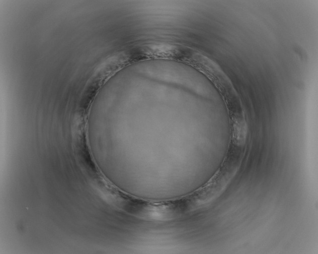 X0000113230701200909101211