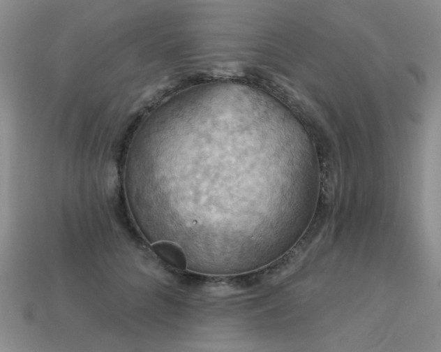 X0000113230704200909101211