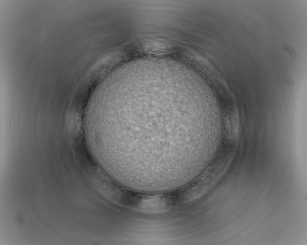 X0000113230705200909101211