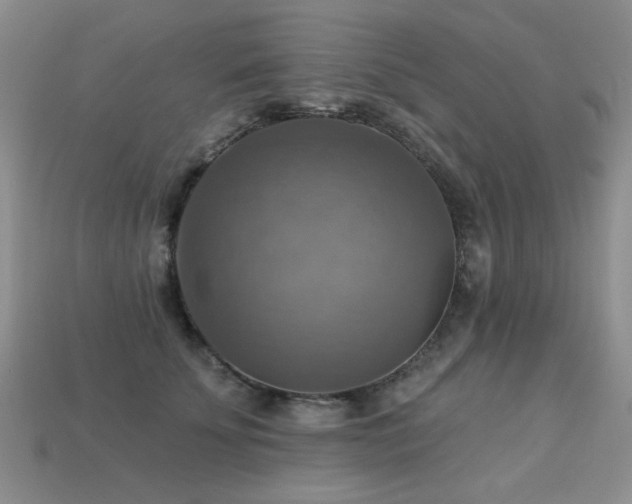 X0000113230707200909101211