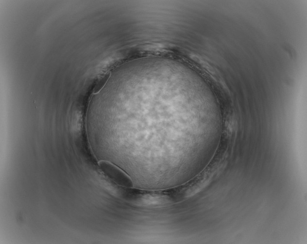 X0000113230708200909101211