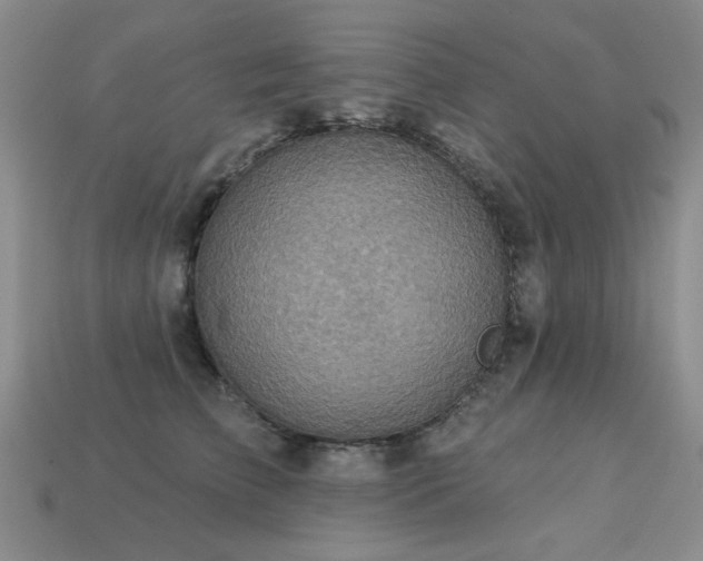 X0000113230709200909101211