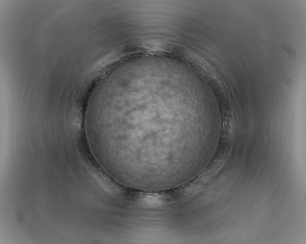 X0000113230710200909101211