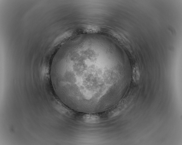X0000113230714200909101211
