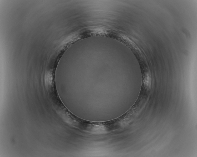 X0000113230715200909101211