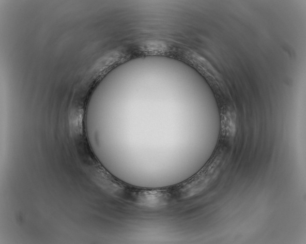 X0000113230717200909101211