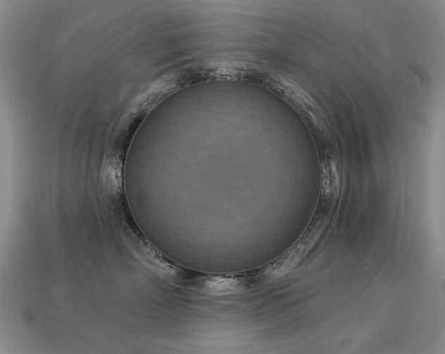 X0000113230718200909101211