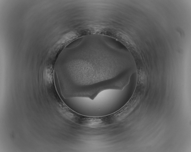 X0000113230719200909101211