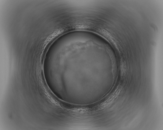 X0000113230721200909101210
