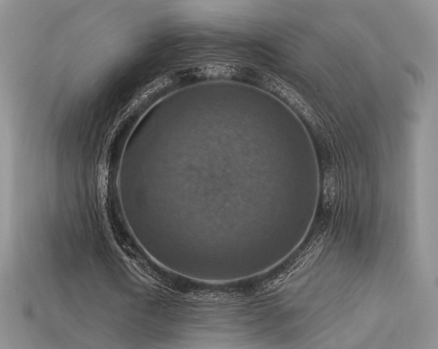 X0000113230722200909101210