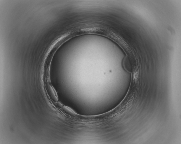 X0000113230724200909101210