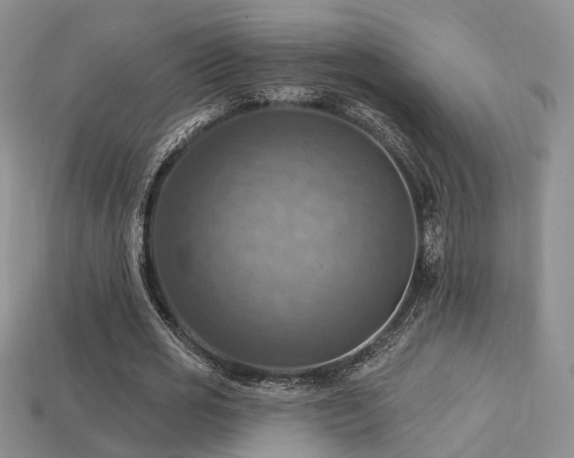 X0000113230725200909101210