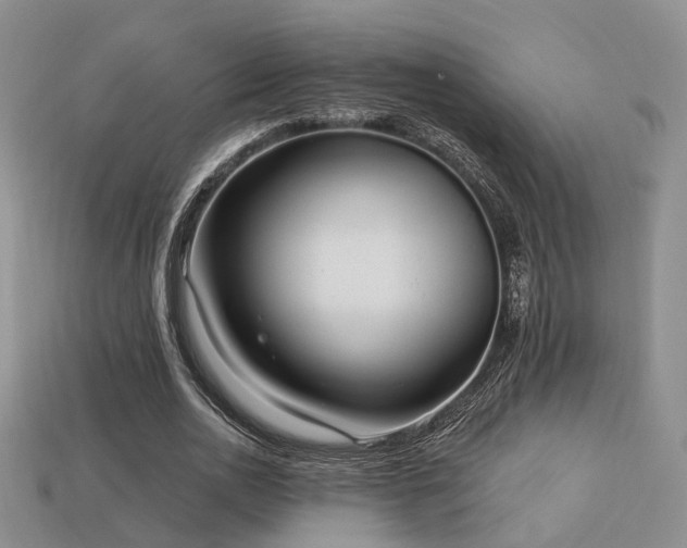 X0000113230726200909101210