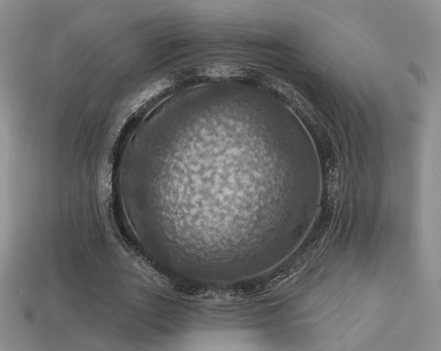 X0000113230727200909101210