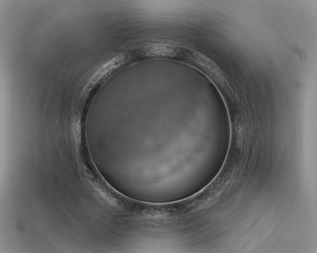 X0000113230729200909101210