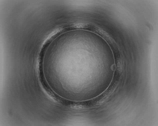 X0000113230730200909101210