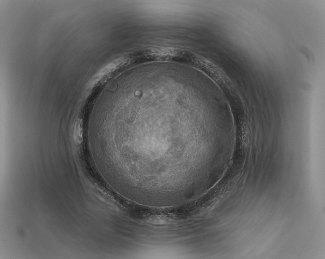 X0000113230731200909101211