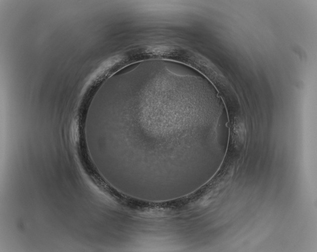 X0000113230734200909101211