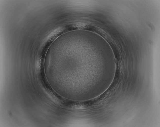 X0000113230735200909101211