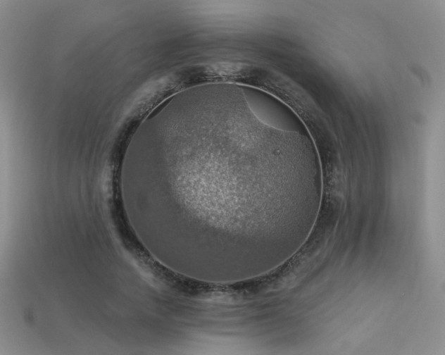 X0000113230738200909101211