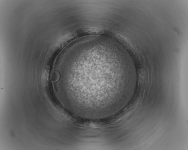 X0000113230739200909101211