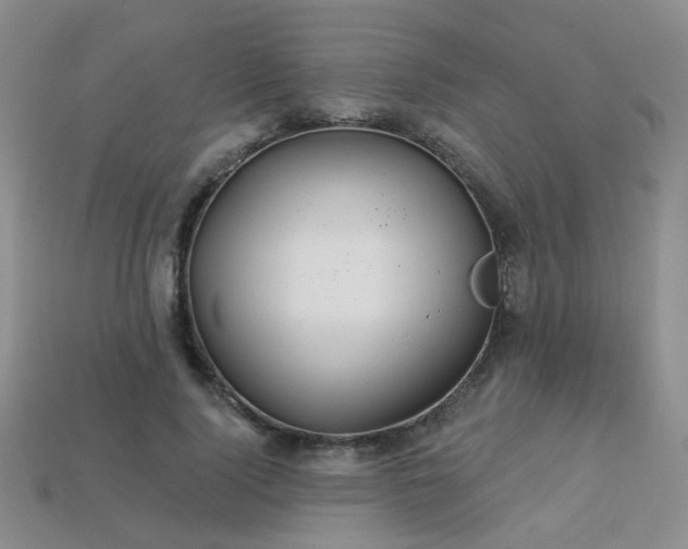 X0000113230740200909101211