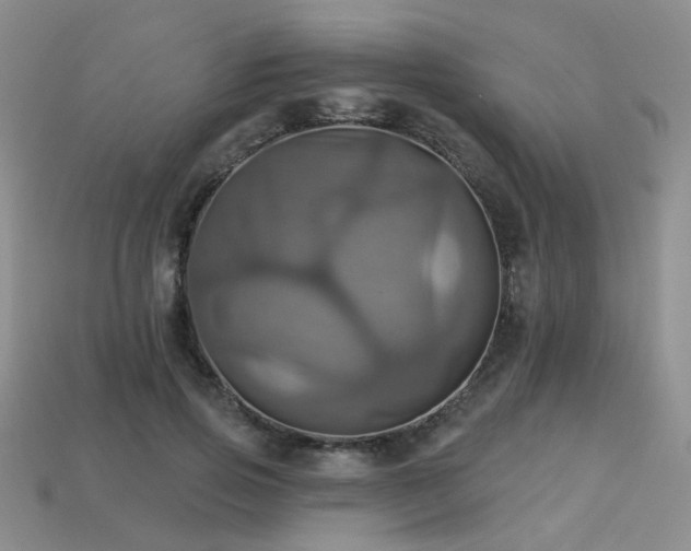 X0000113230741200909101211