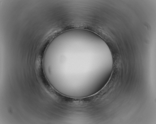 X0000113230744200909101211