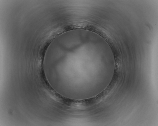 X0000113230745200909101211