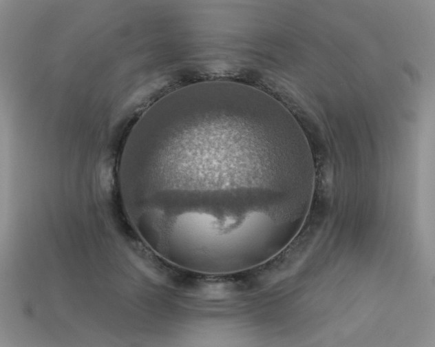 X0000113230746200909101211