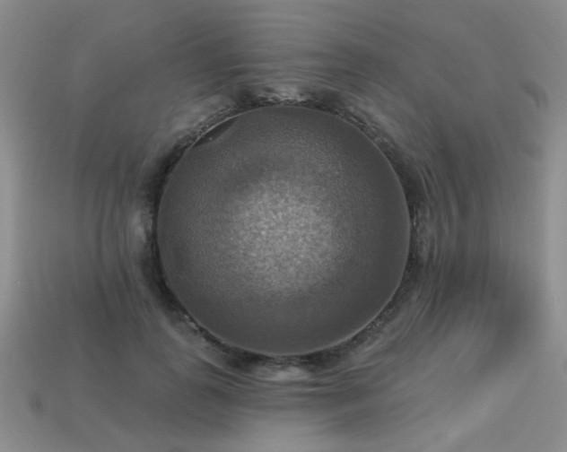 X0000113230747200909101211