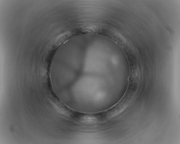 X0000113230749200909101211